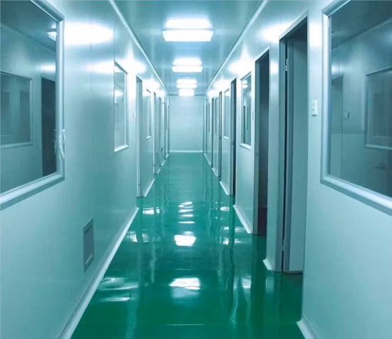 E. K Herb Factory Heißer Verkauf Graperfuit-Extrakt Pomeloes-Extrakt Natürliches Citrus Paradisi-Extraktpulver 50 % ~ 98 % Naringenin-Grapefruit-Extrakt